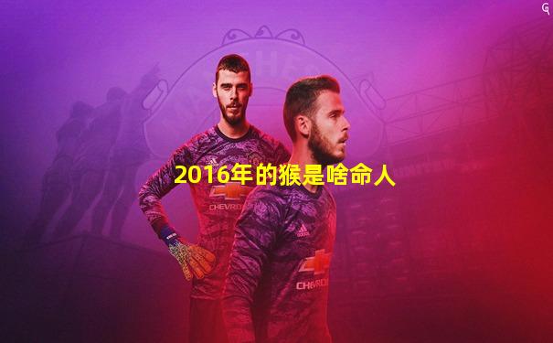 2016年的猴是啥命人