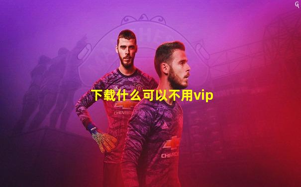 下载什么可以不用vip