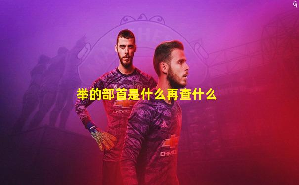 举的部首是什么再查什么