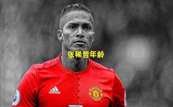 张稀哲年龄