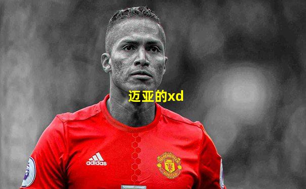 迈亚的xd